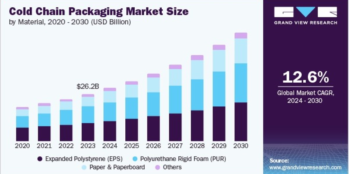 Cold Chain Packaging Market Overview and Key Players