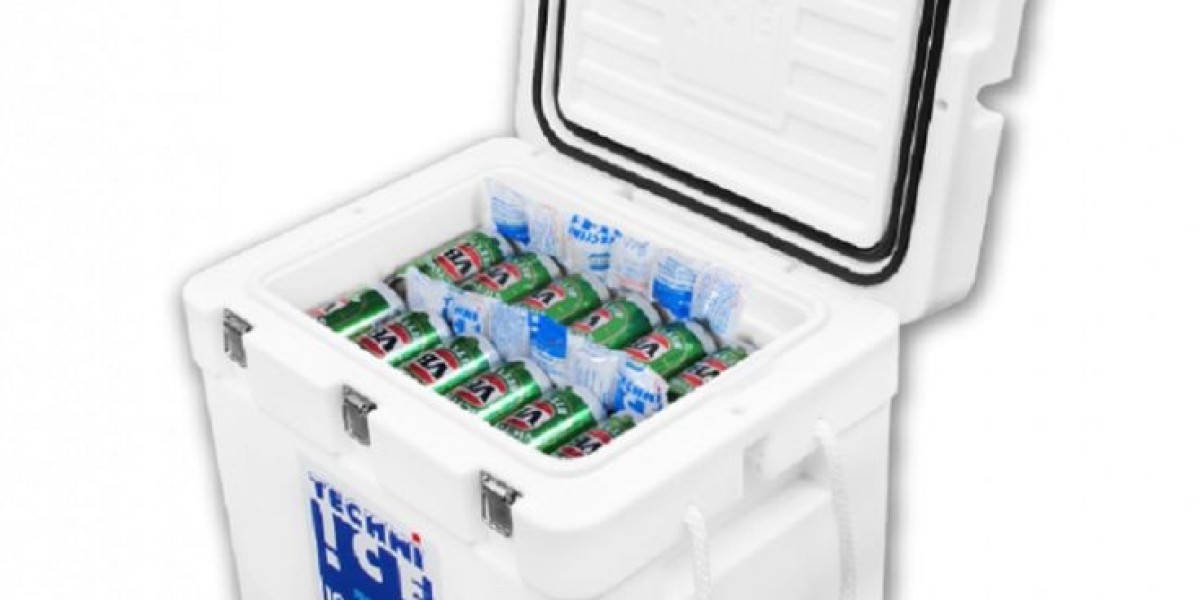 Ice Boxes Market Competitive Analysis: Understanding the Competitive Landscape and Market Players in the Ice Box Sector