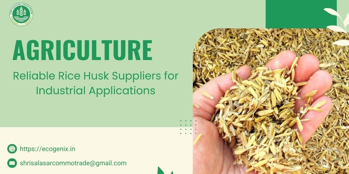 Reliable Rice Husk Suppliers for Industrial Applications