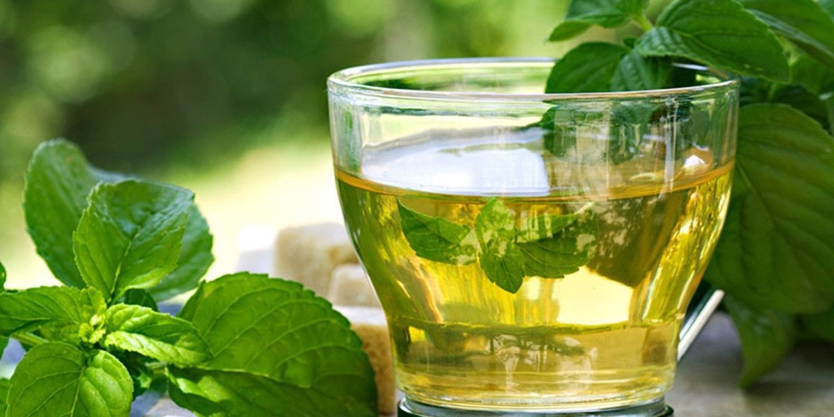 Stevia Extract Market Struggles with Consumer Awareness and Competition from Other Sweeteners