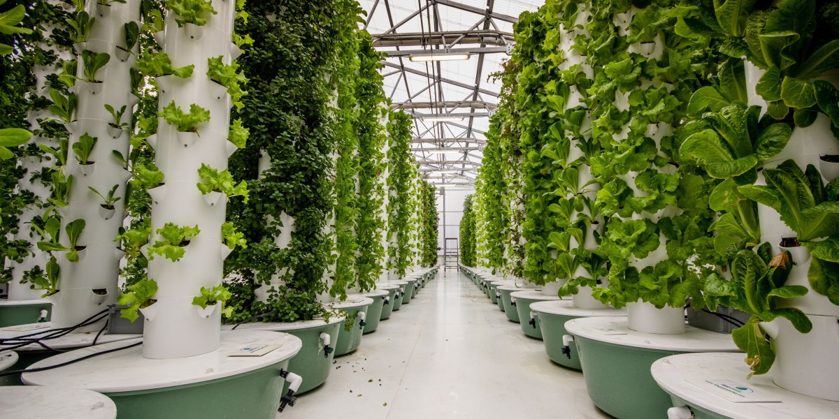 Aeroponics Market Impacting Potential and Opportunities Transforming Sustainable Agriculture Globally