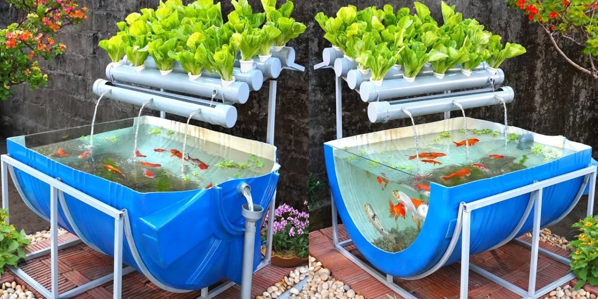 Aquaponics Market Strategic Moves Transforming Sustainable Farming and Global Food Production