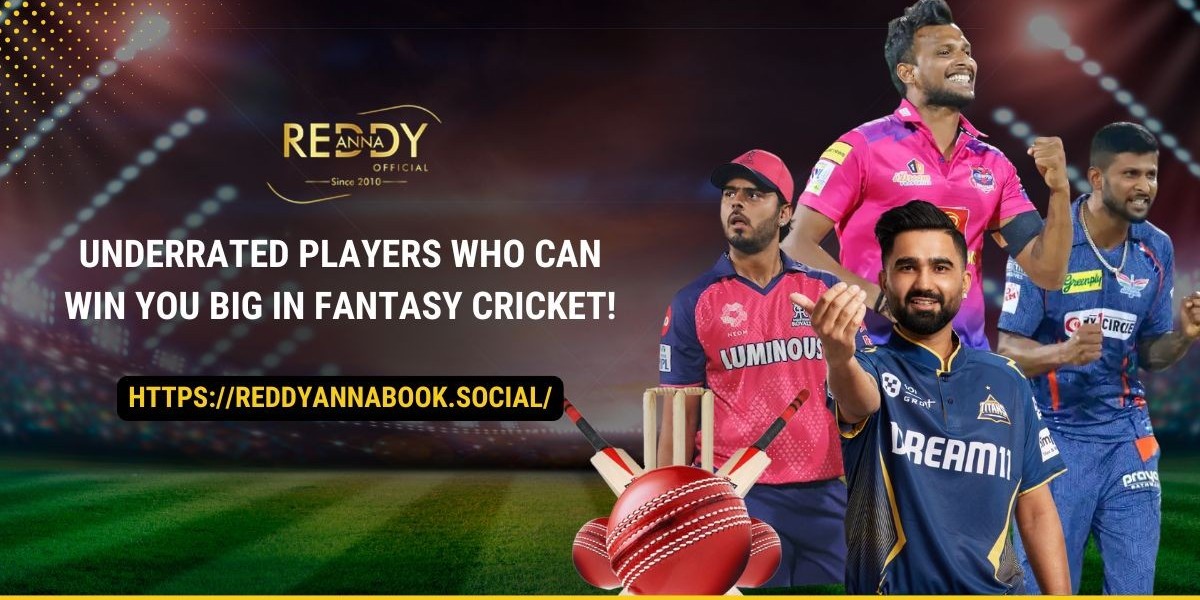 Underrated Players Who Can Win You Big in Fantasy Cricket