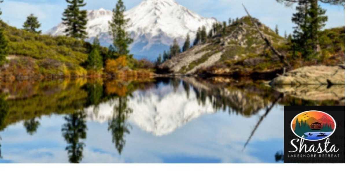 The Beauty and Depth of Shasta Lake: Water Levels, Wildlife, and Lakeview Cabin Escapes