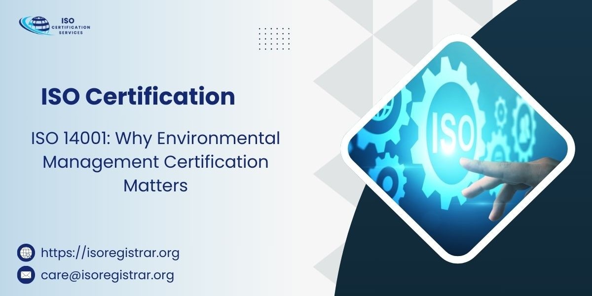 ISO 14001: Why Environmental Management Certification Matters