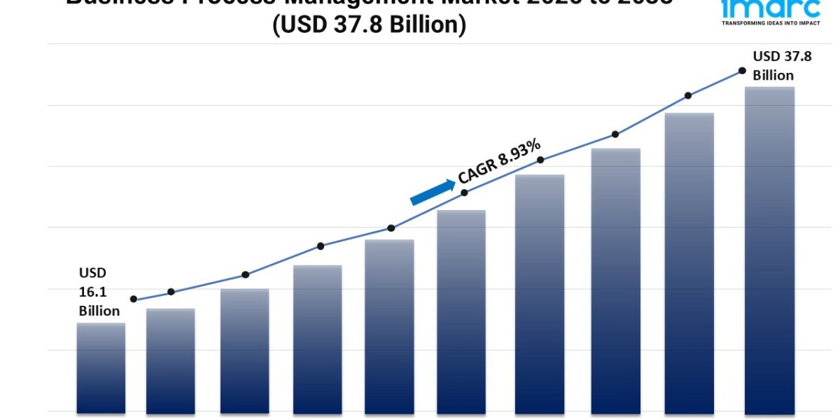 Business Process Management Market Trends, Growth, and Forecast 2025-2033