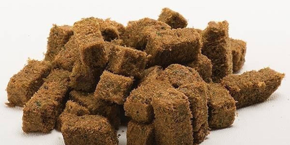 Global Freeze-Dried Dog Food Market: The Impact of Superfoods and Supplements on Pet Health