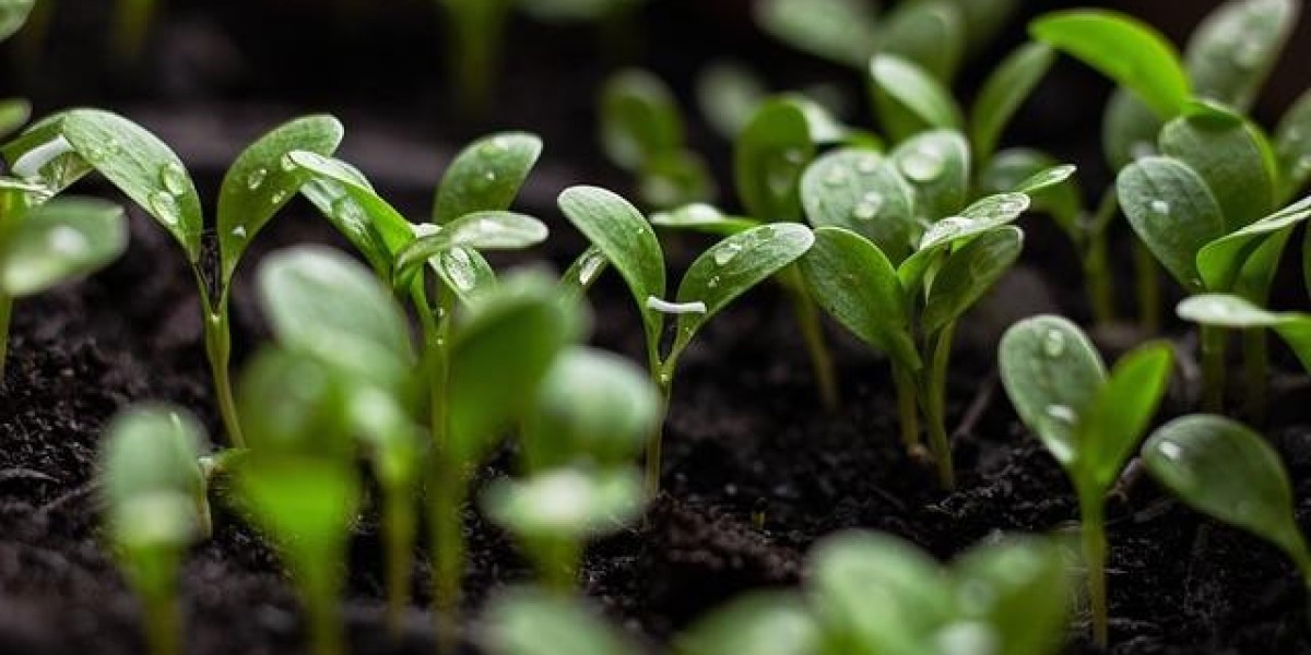 The Impact of Climate Change on Our Environment