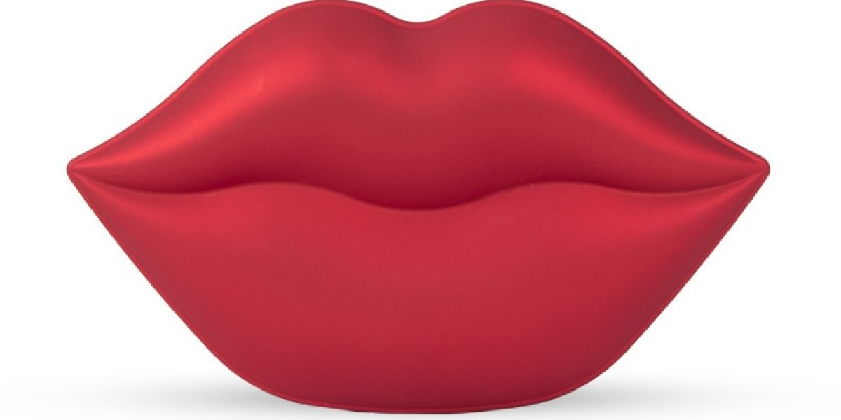Lip Mask Market Expansion Fueled by Organic Product Preference and Digital Beauty Influencer Culture