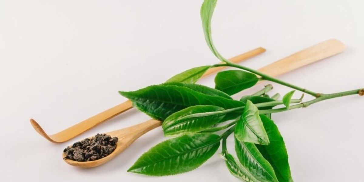 Unveiling the Surge: A Deep Dive into the Expanding Tea Extracts Market