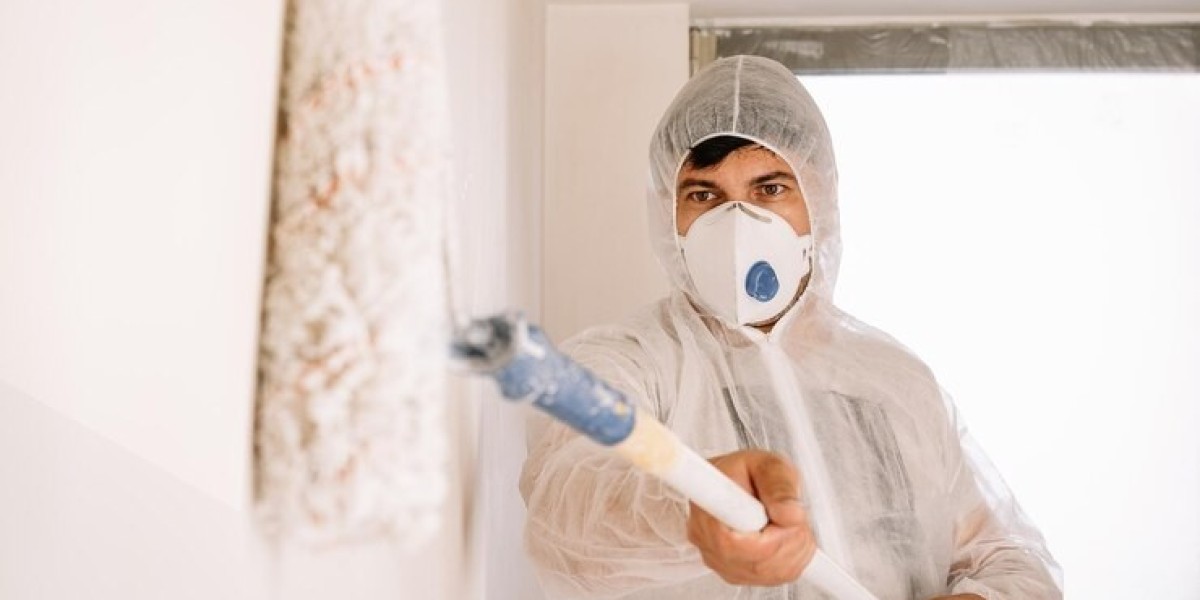 NYC Mold Specialists: Protect Your Home Today