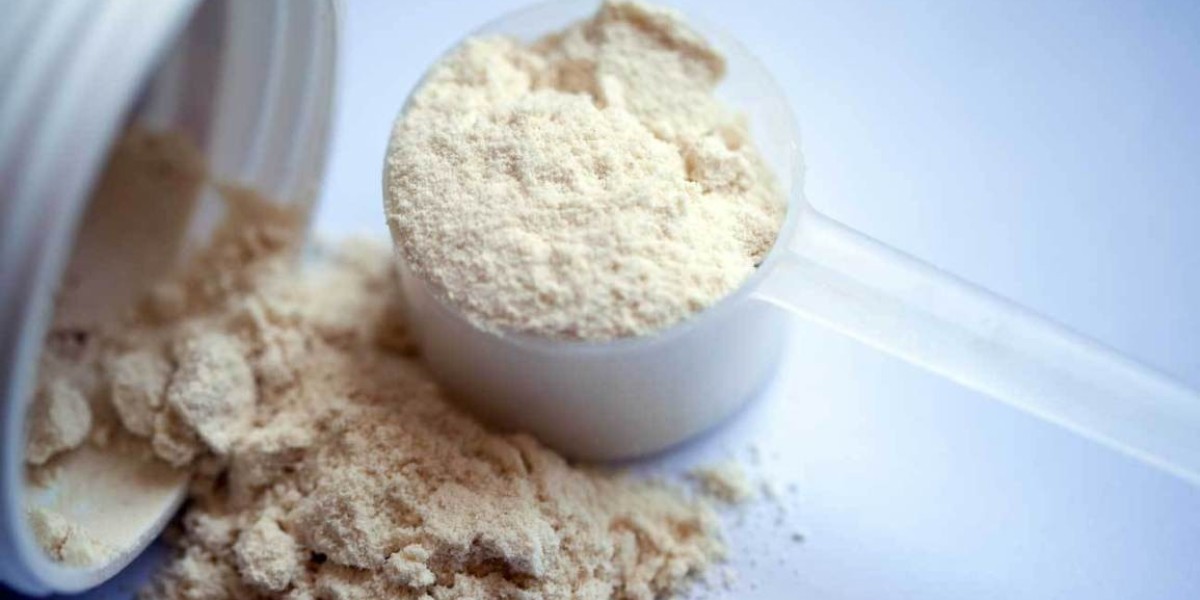 Hexane-Free Protein Market Dynamics: Shaping Forces Behind the Clean-Label Revolution
