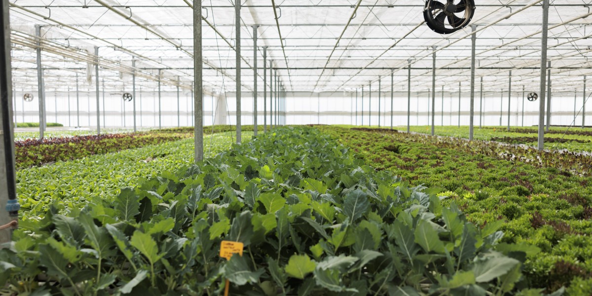 China Greenhouse Heaters Market Outlook: Competitive Landscape and Industry Developments