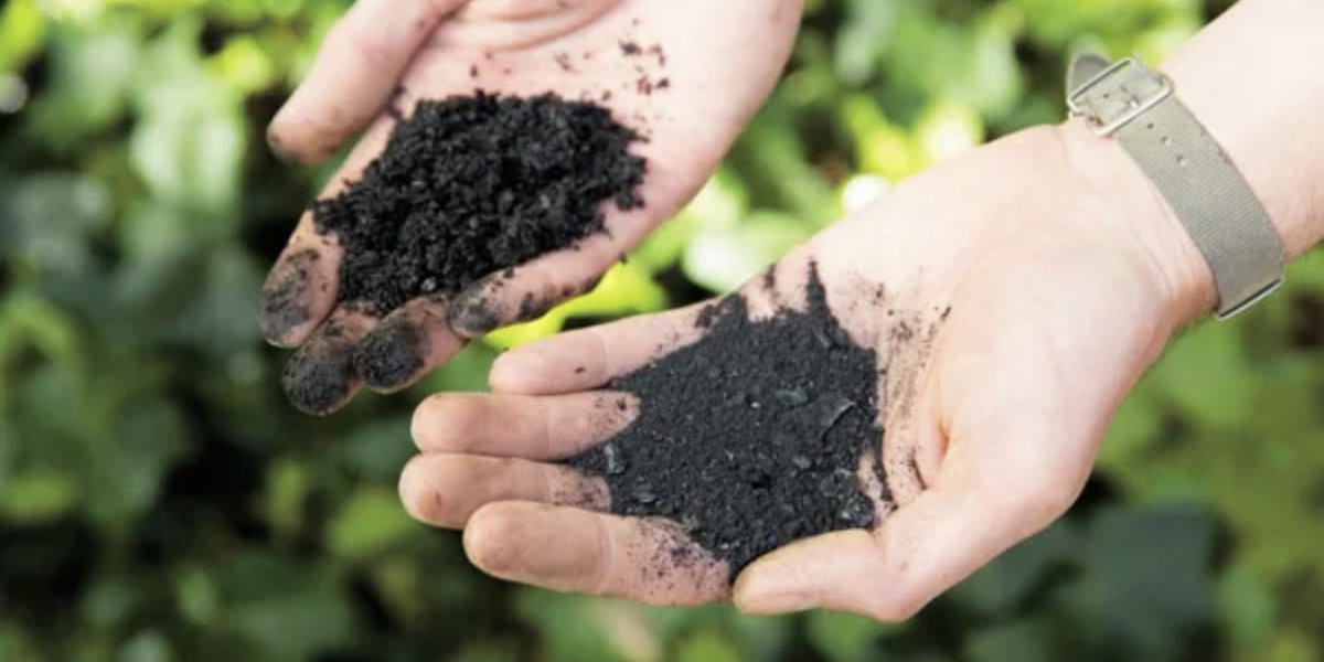 Biochar Market Strategic Moves: Key Collaborations and Mergers Fueling Expansion Across Agricultural Sectors