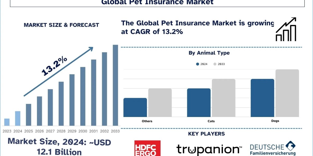 Insurance Market Reports, Share, Trends, Segmentation and Forecast 2033