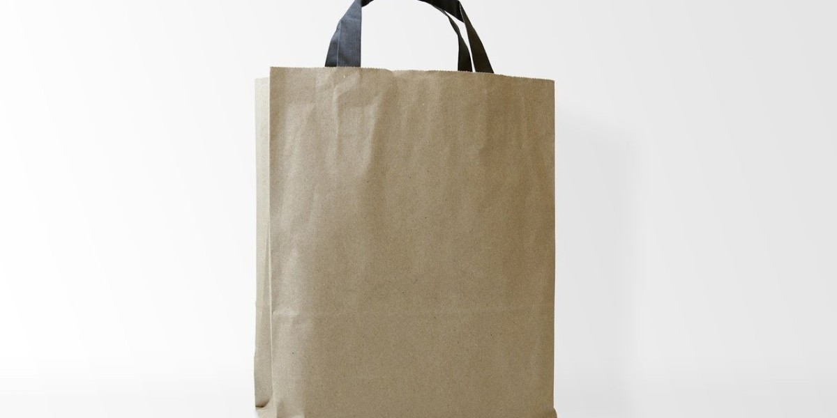 Industrial Paper Bags Market Expansion: Environmental Regulations Shaping Global Demand