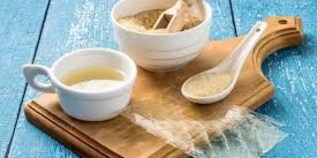Gelatin Substitutes Market Dynamics: Understanding Key Drivers and Trends