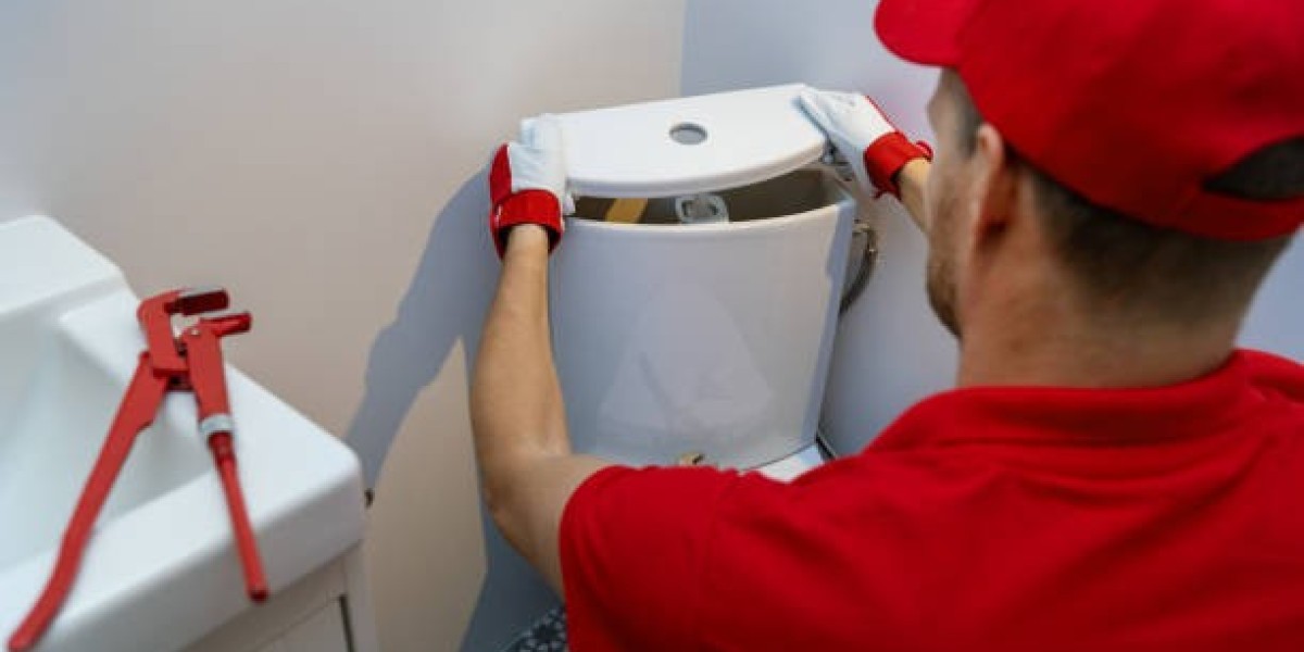 Affordable Toilet Replacement Parts and Toilet Tank Parts Replacement in Fort Collins