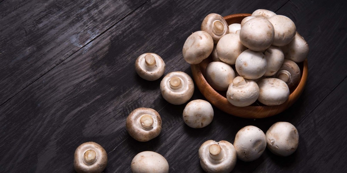 Mushroom Market Scenario: Evolving Landscape, Regional Growth, and Strategic Industry Positioning
