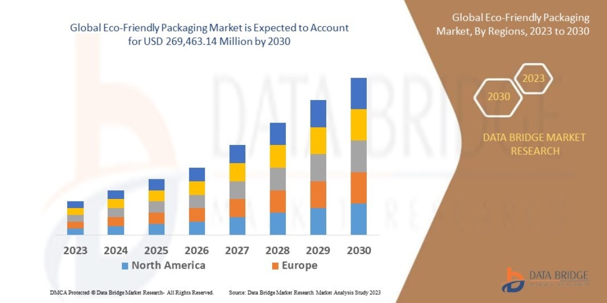 Eco-Friendly Packaging Market Insights and Growth Trends