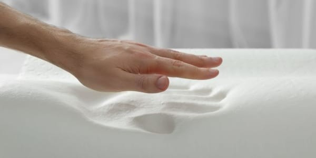Bio-based Foam Market Expands With Biopolymer Advancements and Supportive Government Environmental Policies