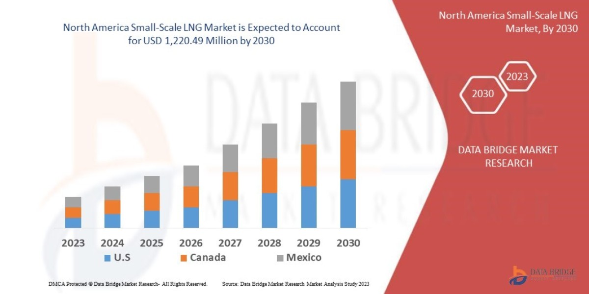 North America Small-Scale LNG Market Size Analysis Report, Share, Trends, Growth and Competitive Outlook