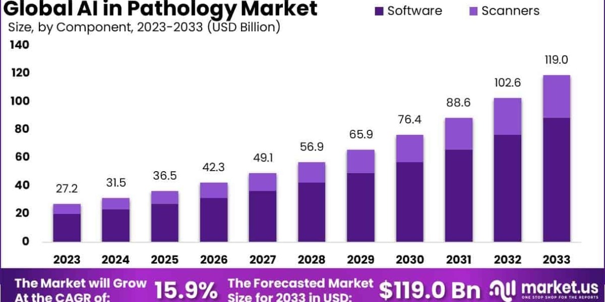 AI in Pathology Market Value Chain and Workflow Integration Analysis 2024–2033