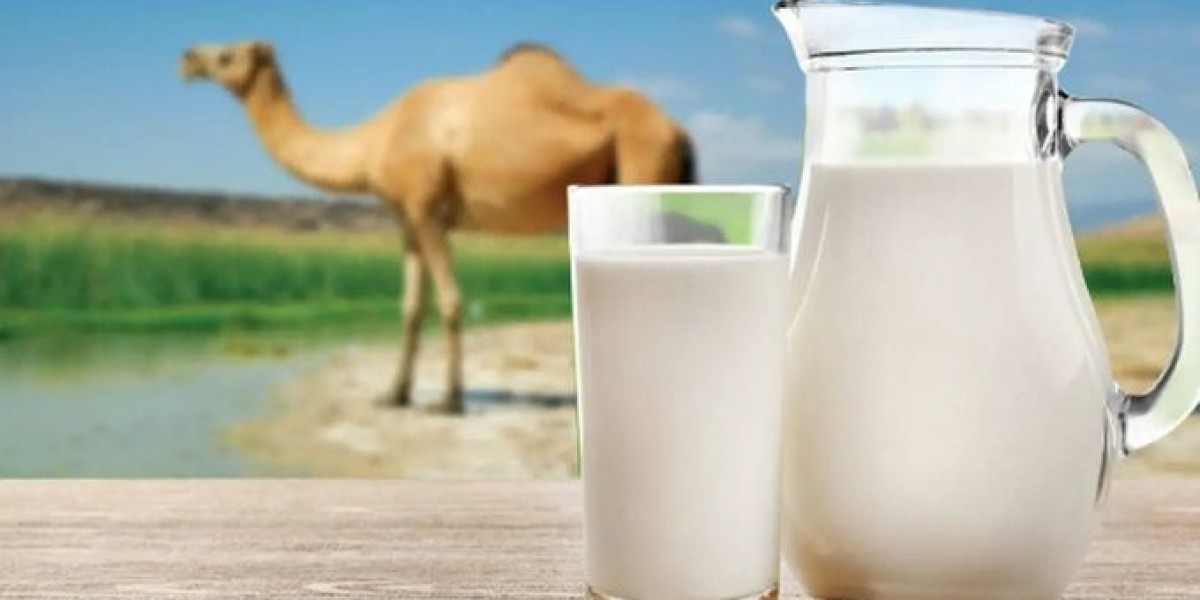 Camel Milk Market: Increasing Popularity of Lactose-Friendly Dairy Options
