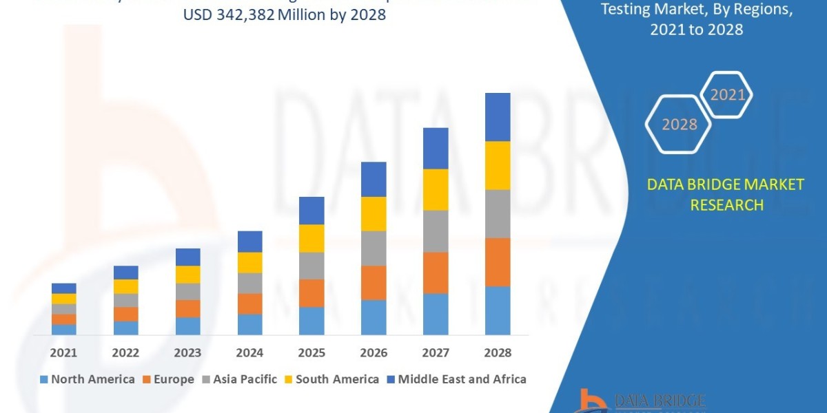 Safety Critical Software Testing Market Size, Share, Trends, Growth Opportunities and Competitive Outlook