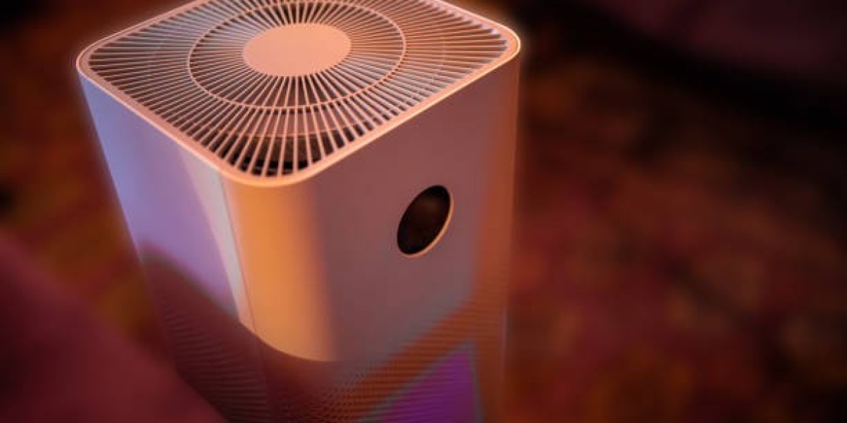 Understanding the Air Purifier Market