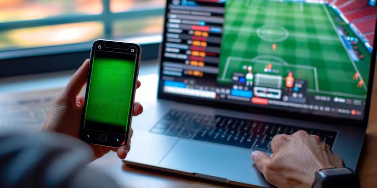 Why Choosing the Right Sportsbook Platform Provider Is Crucial for iGaming Success