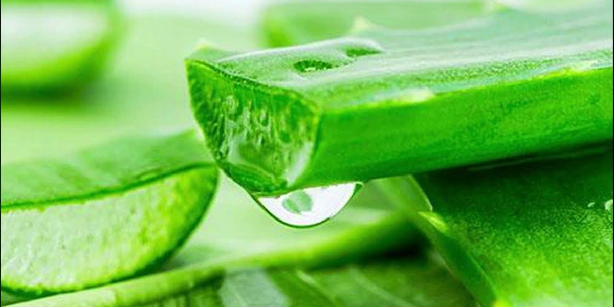 Aloe Vera Extracts Market Dynamics: Growth Drivers, Challenges, Trends, and Future Industry Opportunities Explained