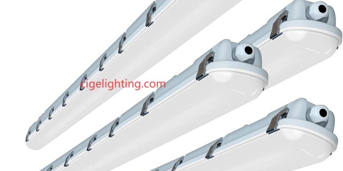 Where Moonlight Fuels Subaquatic Cartography  - cigelighting
