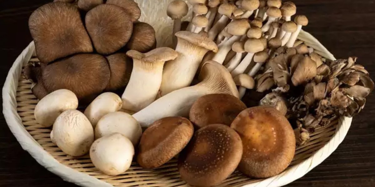 Japan's Functional Mushroom Market: A Natural Approach to Health and Wellness