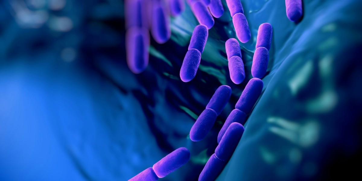 Animal Probiotics Market Outlook Strengthened by Global Trends in Sustainable and Organic Animal Farming Practices