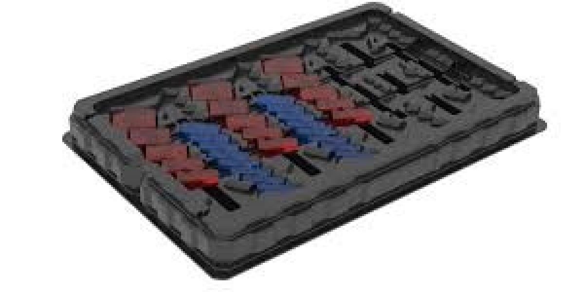 Thermoformed trays market developments: Innovations driving cost-efficiency and sustainability in tray production