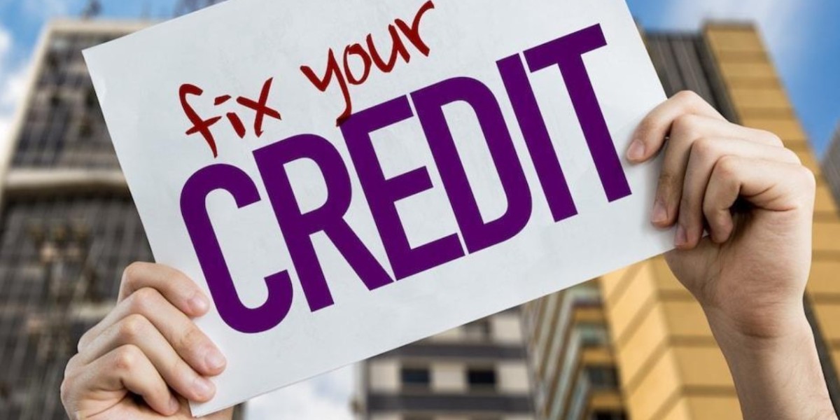 How to Get Credit Repair Results in Under 14 Days