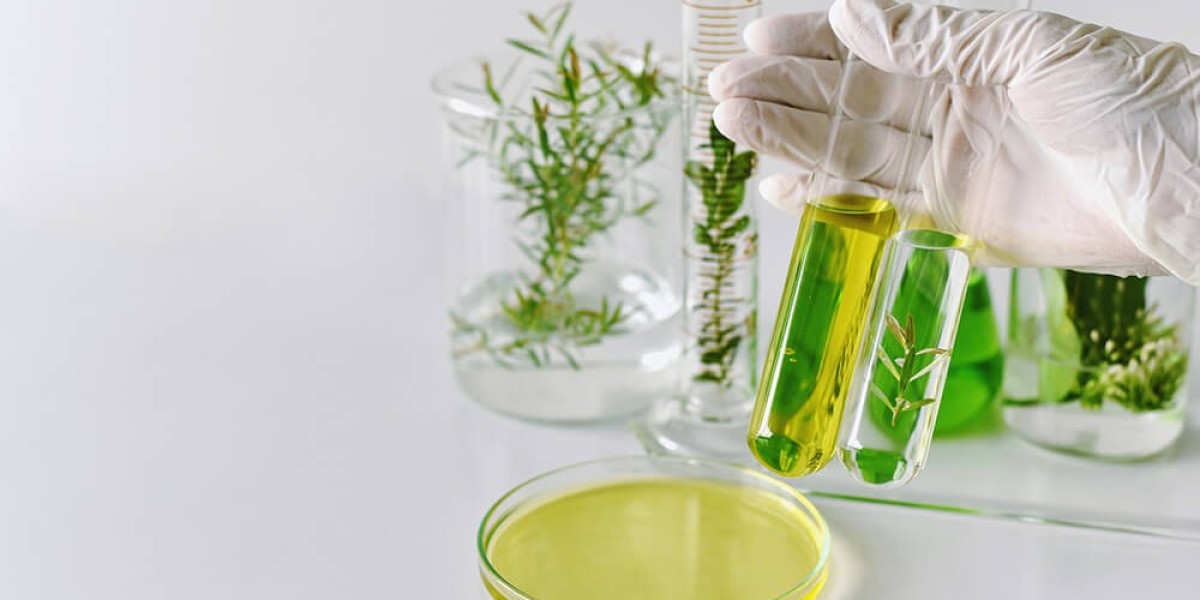 Botanical Extracts Market Opportunities: Exploring New Avenues for Growth Amidst Evolving Consumer Preferences