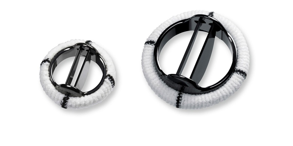 Prosthetic Heart Valves Market Dynamics: Technological Advancements Driving Future Demand