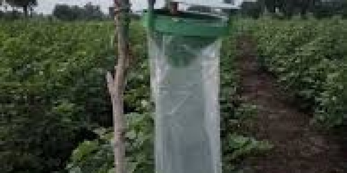 Agricultural Pheromones Market Expansion: Opportunities and Challenges in the Global Agricultural Landscape