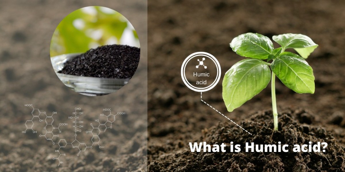 Humic Acid Market Summary Covering Growth Drivers, Key Challenges, and Future Prospects Globally