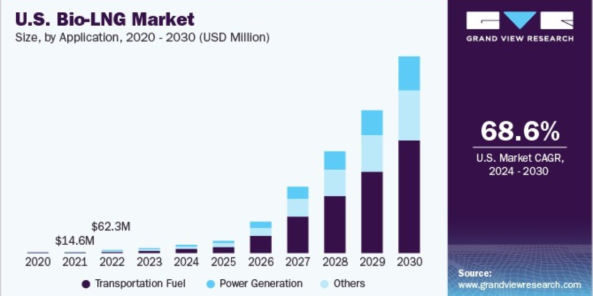 Bio-LNG Market Thrives on Technological Advancements in Cryogenics