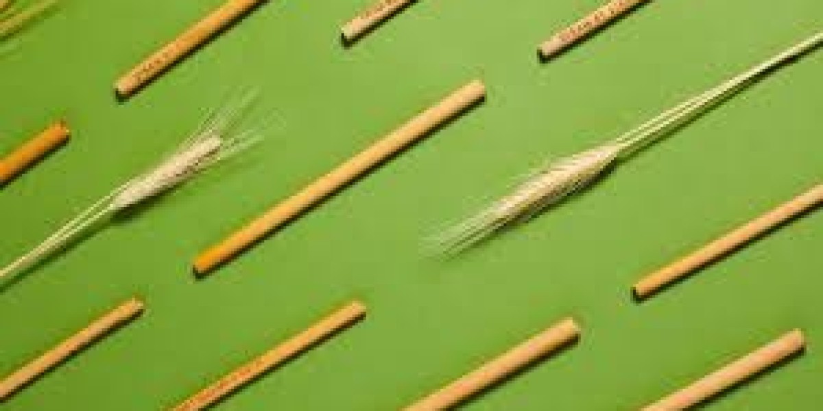 Eco-Friendly Straws Market Forecast: What the Future Holds for Biodegradable, Reusable, and Compostable Straws