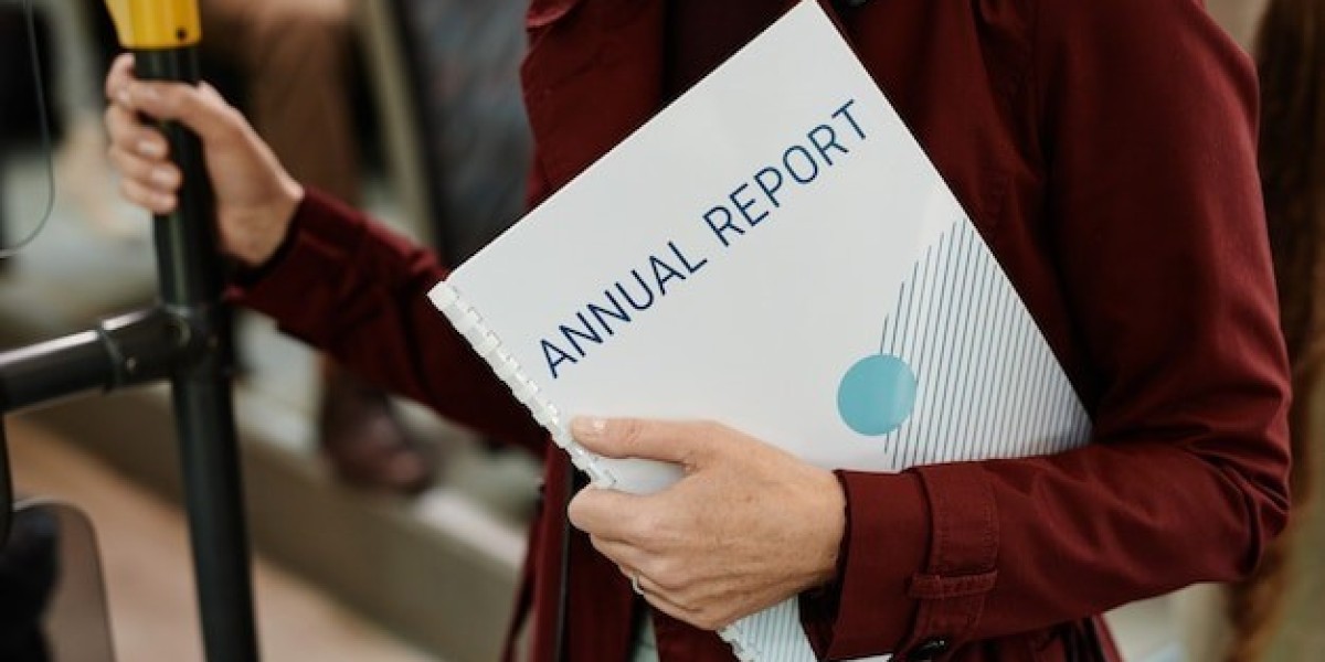 What is a Summary Annual Report