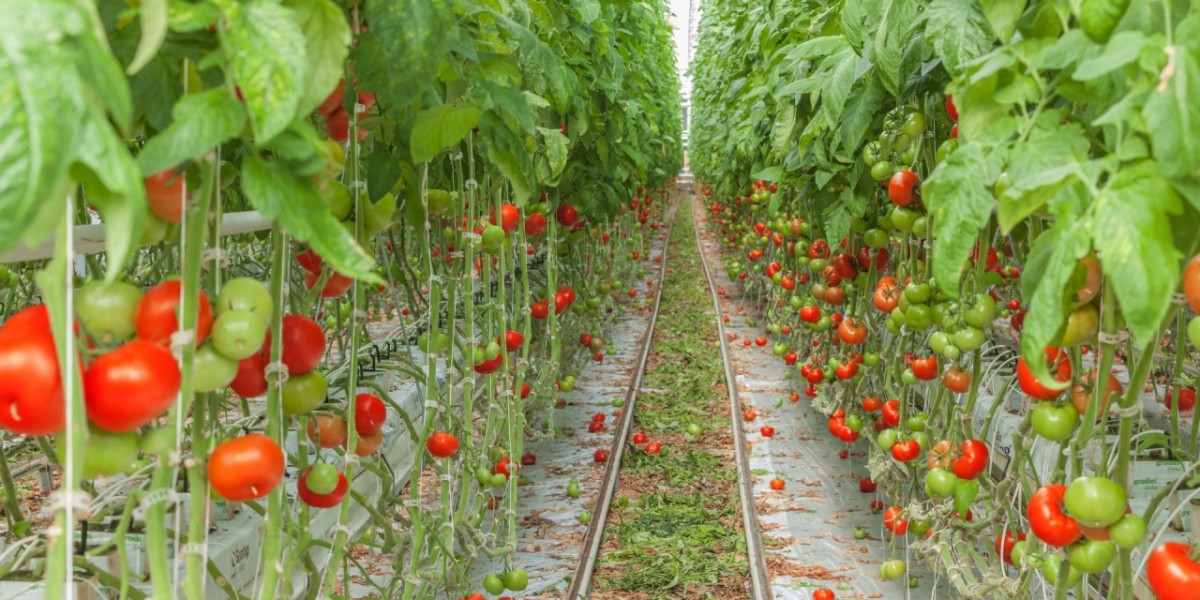 Biopesticides Market Strategic Moves Shaping Industry Growth Through Innovation and Global Expansion