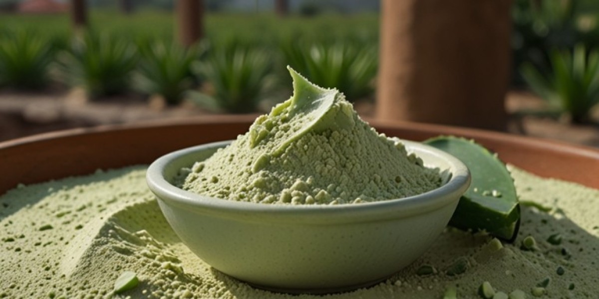 Aloe Vera Powder Manufacturing Plant Setup | Raw Material List, Machinery Cost and Industry Trends