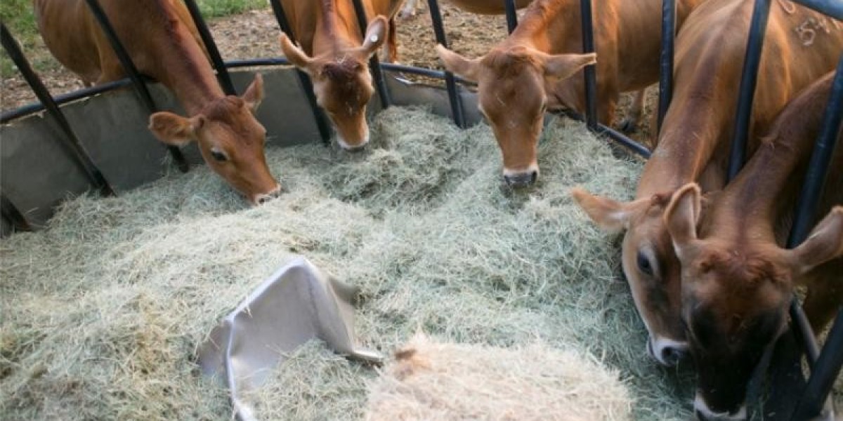 Cattle Feed Market Landscape: Highlighting New Business Models in Nutrient-Rich Feed Formulations