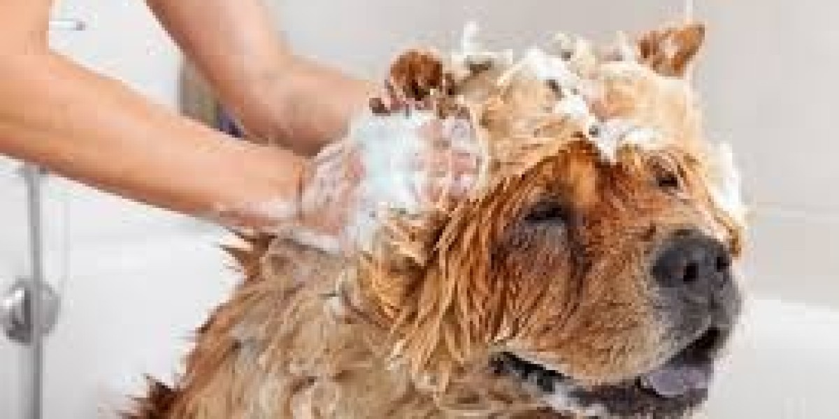 Non-Medicated Pet Shampoo Market: Evolving Trends, Consumer Preferences, and Growth Outlook