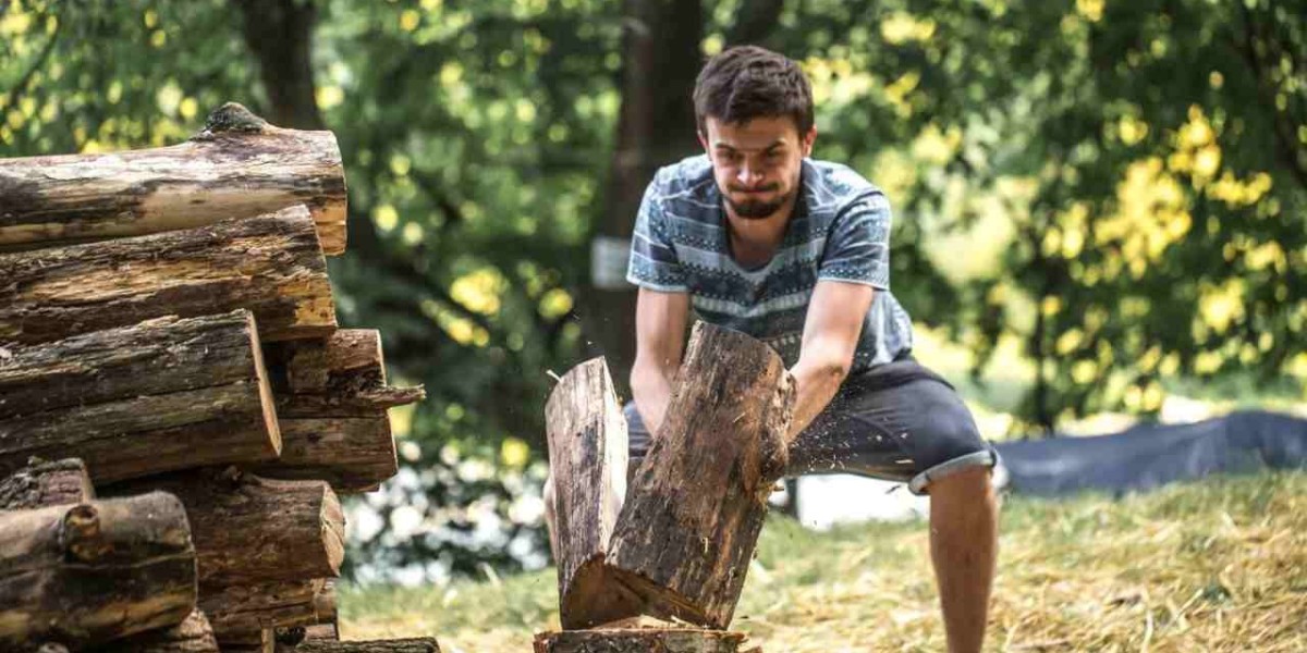 Tree Care Services: The Complete Guide to Healthy and Beautiful Trees