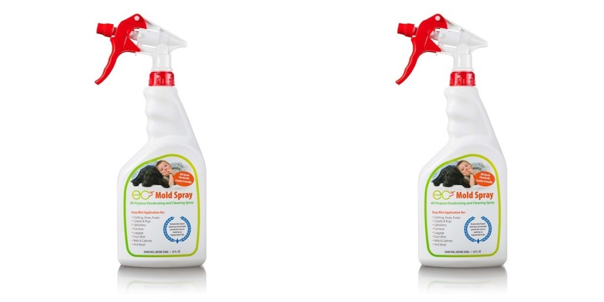 Different Ways to Use Mold Spray
